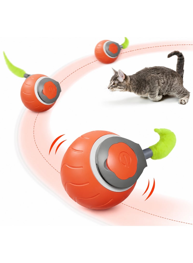 Homify Automatic Cat Ball Toy, Smart Rolling Ball Cat Toy 2.0, USB Rechargeable Interactive Cat Speedy Ball, Electric Intelligent Rolling Teasing Cat Toys Ball for Indoor Cats Dogs - Image 1