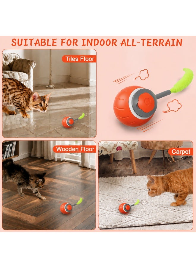 Homify Automatic Cat Ball Toy, Smart Rolling Ball Cat Toy 2.0, USB Rechargeable Interactive Cat Speedy Ball, Electric Intelligent Rolling Teasing Cat Toys Ball for Indoor Cats Dogs - Image 3