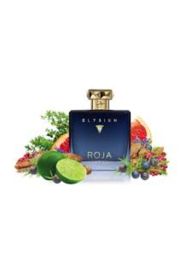 روجا للعطور عطر روجا إليسيوم 100 مل - Image 2