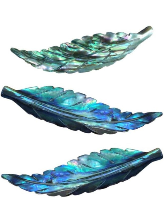 klarako 3 Pcs Natural Abalone Shell Pendant Feather Shape Loose Bead for Jewelry Making - Image 4