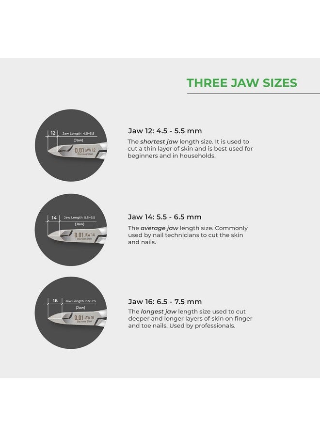 نغايا مشابك بشرة - D-04 Jaw 12 | فولاذ مقاوم للصدأ | متين وحاد | تصميم مريح | مطلي باللون الرمادي | مثالي للاستخدام في الصالونات والمنزل - Image 3
