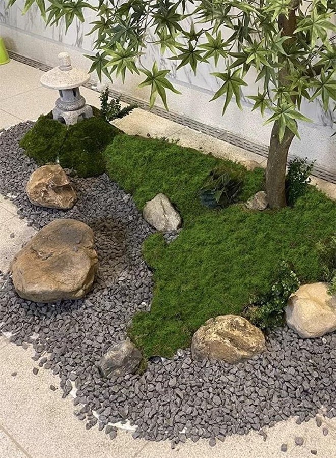 واي جيه 100 جرام من الطحالب العشب يحاكي بشكل كامل الطحلب الاصطناعي العشب الأخضر الكاذب للقطع المركزية المطبخ المنزلي حديقة ديكور الغابات المحفوظة طحالب - Image 2