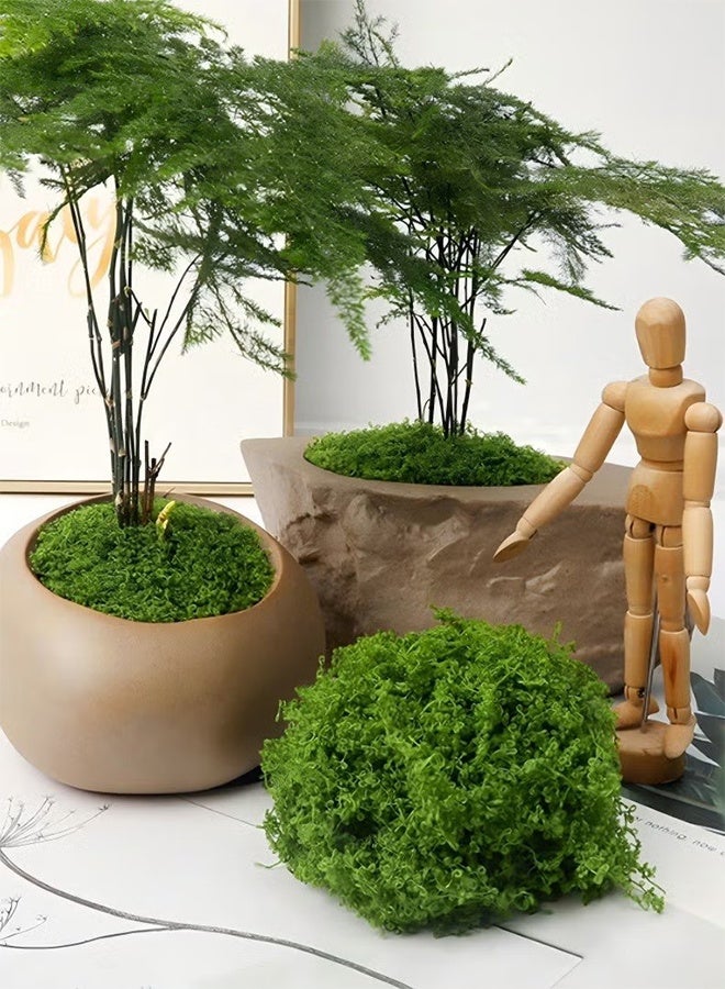 واي جيه 100 جرام من الطحالب العشب يحاكي بشكل كامل الطحلب الاصطناعي العشب الأخضر الكاذب للقطع المركزية المطبخ المنزلي حديقة ديكور الغابات المحفوظة طحالب - Image 3