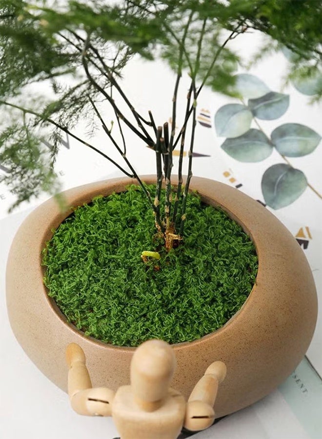 واي جيه 100 جرام من الطحالب العشب يحاكي بشكل كامل الطحلب الاصطناعي العشب الأخضر الكاذب للقطع المركزية المطبخ المنزلي حديقة ديكور الغابات المحفوظة طحالب - Image 5