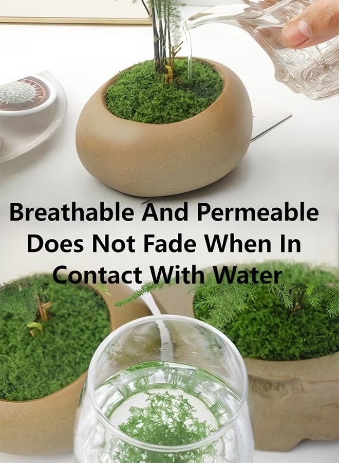 واي جيه 100 جرام من الطحالب العشب يحاكي بشكل كامل الطحلب الاصطناعي العشب الأخضر الكاذب للقطع المركزية المطبخ المنزلي حديقة ديكور الغابات المحفوظة طحالب - Image 4