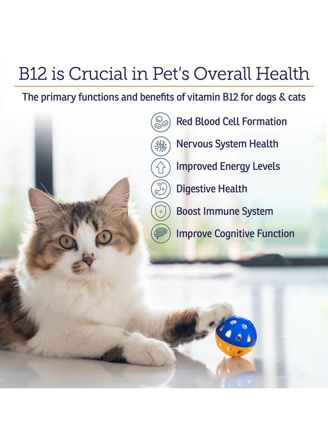ركس فيتامينز فيتامينات RX B12 للكلاب والقطط - دعم هضمي للكلاب لتحسين عملية التمثيل الغذائي - فيتامين B12 نقي للقطط لدعم الجهاز العصبي - مثالي لفيتامينات الكلاب ولوازم القطط - 4 أونصة - Image 3