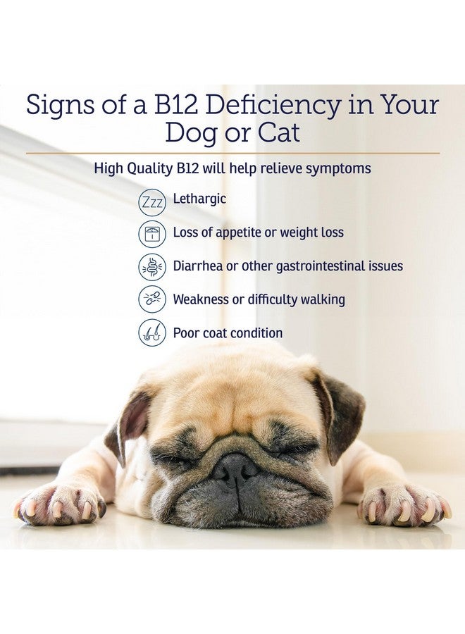 ركس فيتامينز فيتامينات RX B12 للكلاب والقطط - دعم هضمي للكلاب لتحسين عملية التمثيل الغذائي - فيتامين B12 نقي للقطط لدعم الجهاز العصبي - مثالي لفيتامينات الكلاب ولوازم القطط - 4 أونصة - Image 5
