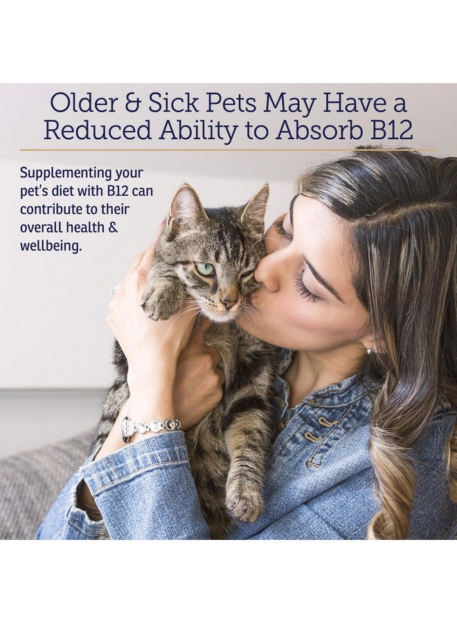 ركس فيتامينز فيتامينات RX B12 للكلاب والقطط - دعم هضمي للكلاب لتحسين عملية التمثيل الغذائي - فيتامين B12 نقي للقطط لدعم الجهاز العصبي - مثالي لفيتامينات الكلاب ولوازم القطط - 4 أونصة - Image 4