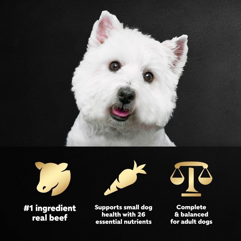 Cesar Small Breed Dry Dog Food Filet Mignon Flavor and Spring Vegetables Garnish, 5 lb. Bag - Image 5