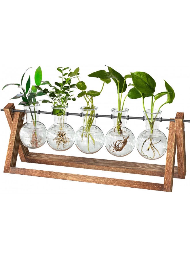 CFMOUR CFMOUR Plant Terrarium with Wooden Stand, Desktop Propagation Stations Glass Air Planter Metal Swivel Holder for Indoor Live Hydroponics Plants Office Home Garden Decor (5 Bulb Vase)  - Image 1