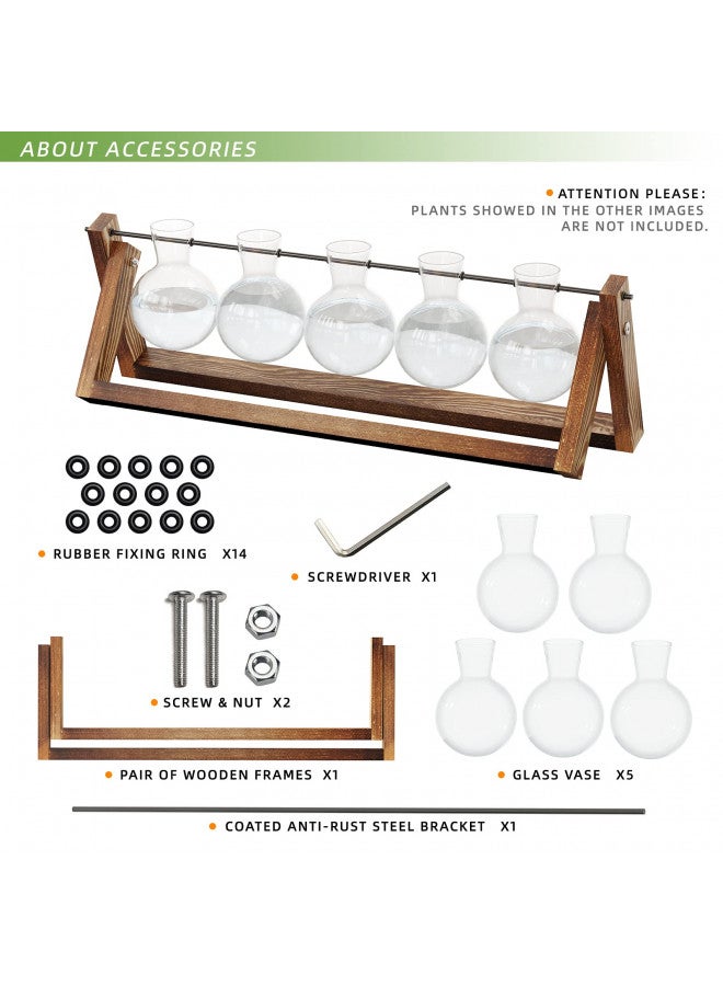 CFMOUR CFMOUR Plant Terrarium with Wooden Stand, Desktop Propagation Stations Glass Air Planter Metal Swivel Holder for Indoor Live Hydroponics Plants Office Home Garden Decor (5 Bulb Vase)  - Image 4