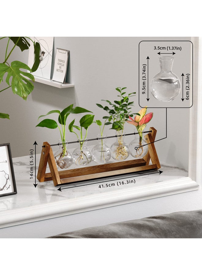 CFMOUR CFMOUR Plant Terrarium with Wooden Stand, Desktop Propagation Stations Glass Air Planter Metal Swivel Holder for Indoor Live Hydroponics Plants Office Home Garden Decor (5 Bulb Vase)  - Image 2