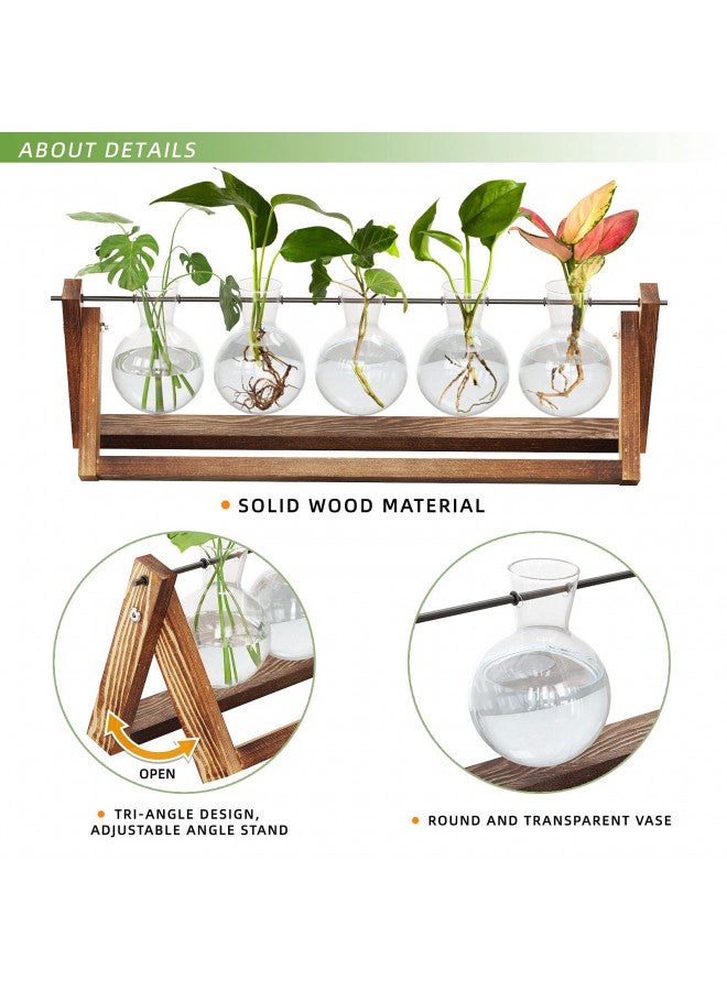 CFMOUR CFMOUR Plant Terrarium with Wooden Stand, Desktop Propagation Stations Glass Air Planter Metal Swivel Holder for Indoor Live Hydroponics Plants Office Home Garden Decor (5 Bulb Vase)  - Image 3