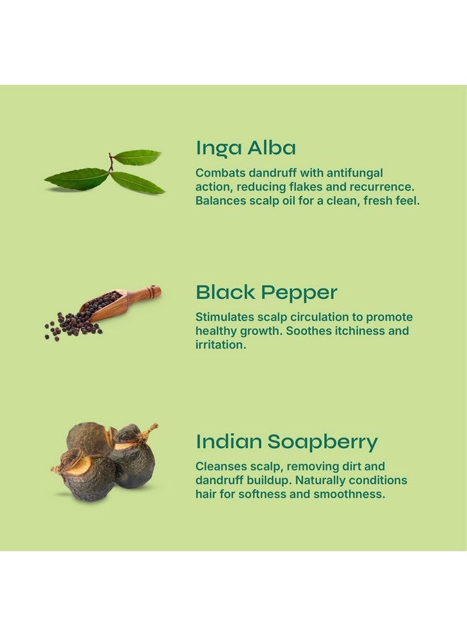 Tikitoro Teens Anti-dandruff Shampoo 100% Vegan with Aloe vera, Provitamin B5, Hibiscus, Rice Protein, Cleanses Scalp, Conditions Hair No Parabens & Sulphates (300ml x 1) - Image 2