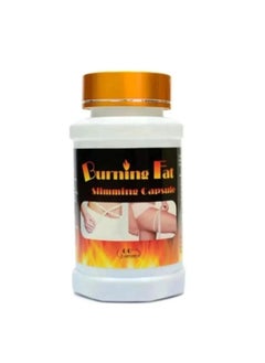 Burning fat pills (to burn fat) - pzsku/Z4C5AA59A3A9FDD954306Z/45/_/1740082061/e3a494d7-fc60-4fc5-91b1-693bd9879170