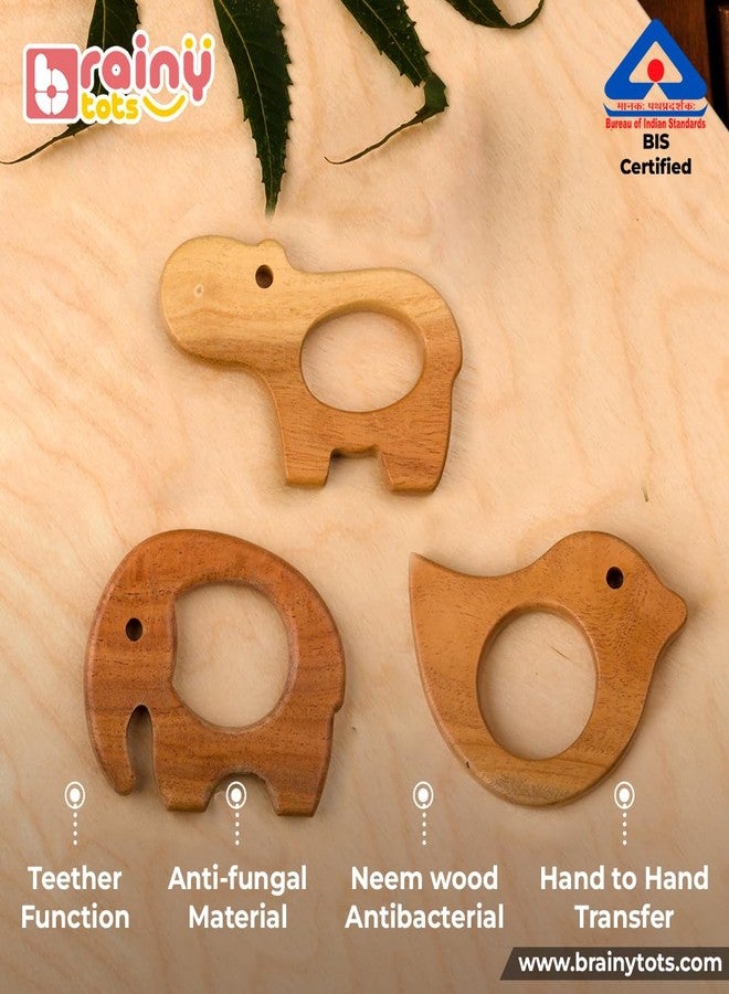 Brainytots Baby Neem Teethers Set - Dove + Elephant + Hippopotamus Shape | Made of Organic Neem Wood | Helps Boost Immunity & Aids in Digestion | Easy to Grasp & Chew | BIS Certified - Image 4