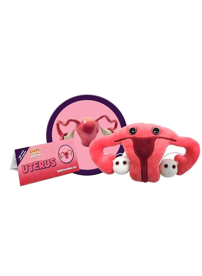 Giant Microbes - GIANTmicrobes Uterus Plush Toy, Uterus Stuffed Animal, Uterus Gifts, Uterus Plush, Hysterectomy Gifts, Endometriosis Gifts, Gynecologist Gifts,Obgyn Gifts, Feminist Gifts, Fertility Gift,Get Well Gift - Image 1