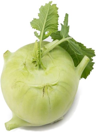 White Kohlrabi Fruit Seeds 100pcs - pzsku/Z4C5B329092E8221B1A38Z/45/_/1730823165/6c7949e5-4311-42cb-b2ff-5712890df90f