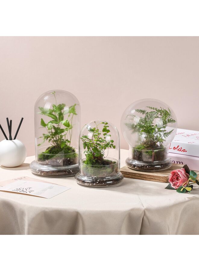 LAMAY Glass Cloche for Indoor Plants Terrarium with Air Hole Base Mini Cloche Dome for Display Home Decor 6.63inch - Image 3