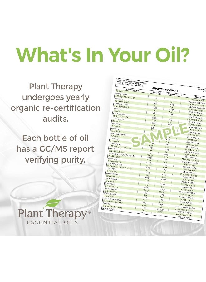 Plant Therapy Ylang Ylang Complete Organic Essential Oil | 100% Pure, Usda Certified Organic  - Image 3