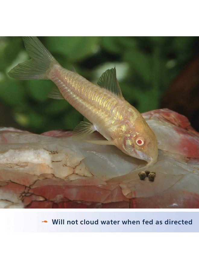 أكيون حبيبات الروبيان، طعام غاطس للأسماك الاستوائية والأسماك الذهبية والأسماك الصغيرة وسمك السلور وغيرها من الأسماك التي تتغذى على القاع، 6.5 أونصة - Image 4
