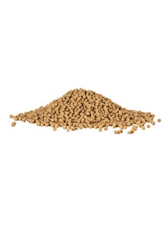 Shrimp Pellets Sinking Food For Tropical Fish, Goldfish, Loaches, Catfish And Other Bottom Feeding Fish, 6.5 Ounces - pzsku/Z4C5DF5CE9A650360F08CZ/45/_/1726220121/719efc1d-8d39-4bd4-8bcf-a60167aec94a