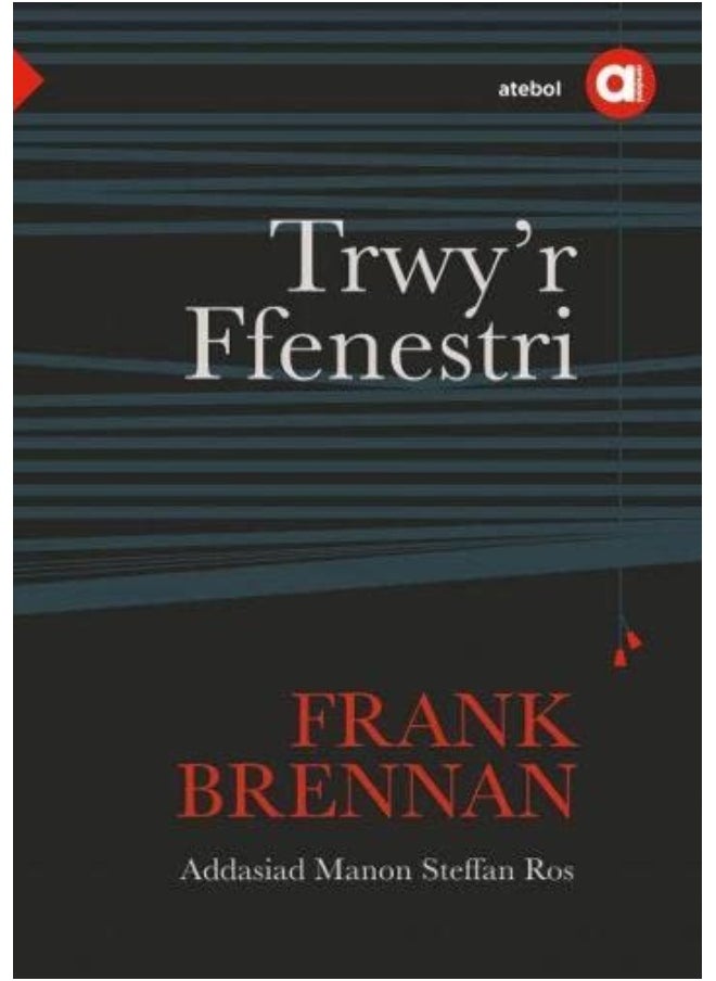 Cyfres Amdani: Trwy'r Ffenestri 