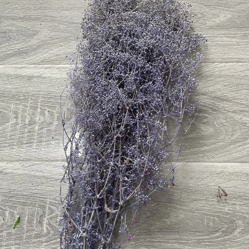 Bluejw Preserved Mini Gypsophila Elegans Baby's Breath Dried Flowers – Natural Dried Plants for Mother's Day, Christmas & Event Decorations, Long-Lasting Floral Arrangements - Image 1
