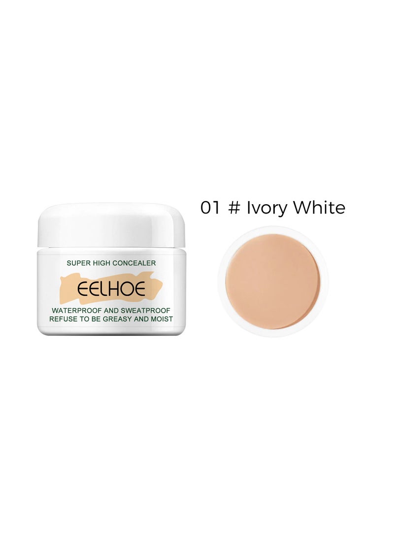 EELHOE Body Concealer Cream – Waterproof, Brightening Coverage for Birthmarks, Scars, Tattoos, and Spots in Three Shades - Image 1