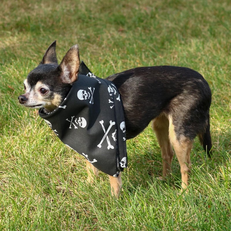 CTM Skull  Crossbones Bandana - Image 3