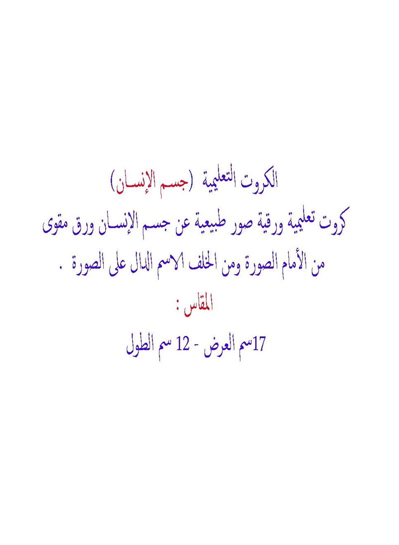 فلاش الكروت التعليمية جسم الانسان - Image 4