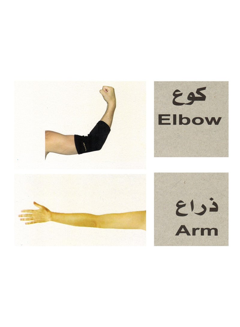 فلاش الكروت التعليمية جسم الانسان - Image 2