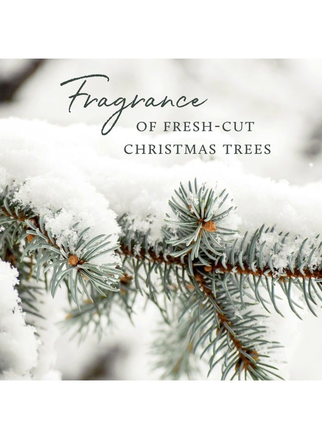 Thymes Frasier Fir All-Purpose Cleaner - Biodegradable Cleaner with Natural Essential Oils - Household Spray for Cleaning Bathrooms, Kitchens, Counters, and Other Surfaces (16 fl oz) - Image 5