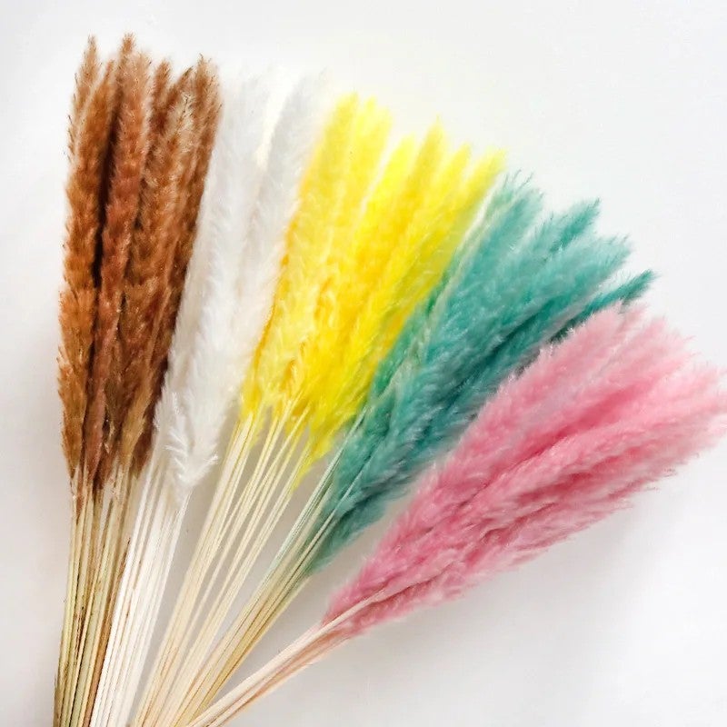 Bluejw 60cm Natural Dried Pampas Grass - Retail Decoration & Artificial Flower Alternative - Premium Dried Plants for Home Decor - Image 3