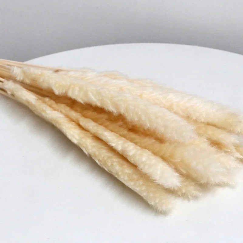 Bluejw 60cm Natural Dried Pampas Grass - Retail Decoration & Artificial Flower Alternative - Premium Dried Plants for Home Decor - Image 1