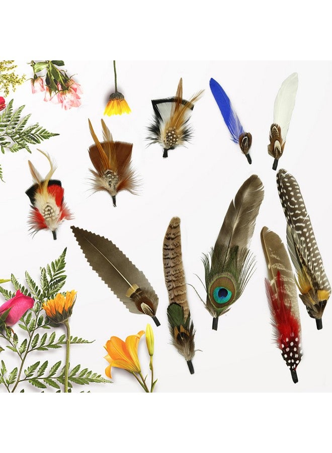 CANIPHA 10Pcs Hat Feathers Natural Feathers Peacock Feathers For Hats Colorful Feathers Pin Cowboy Hat Feather For Western Cowboy Hats Christmas Party Hats Feathers Accessories Diy Decorations (10 Style) - Image 2