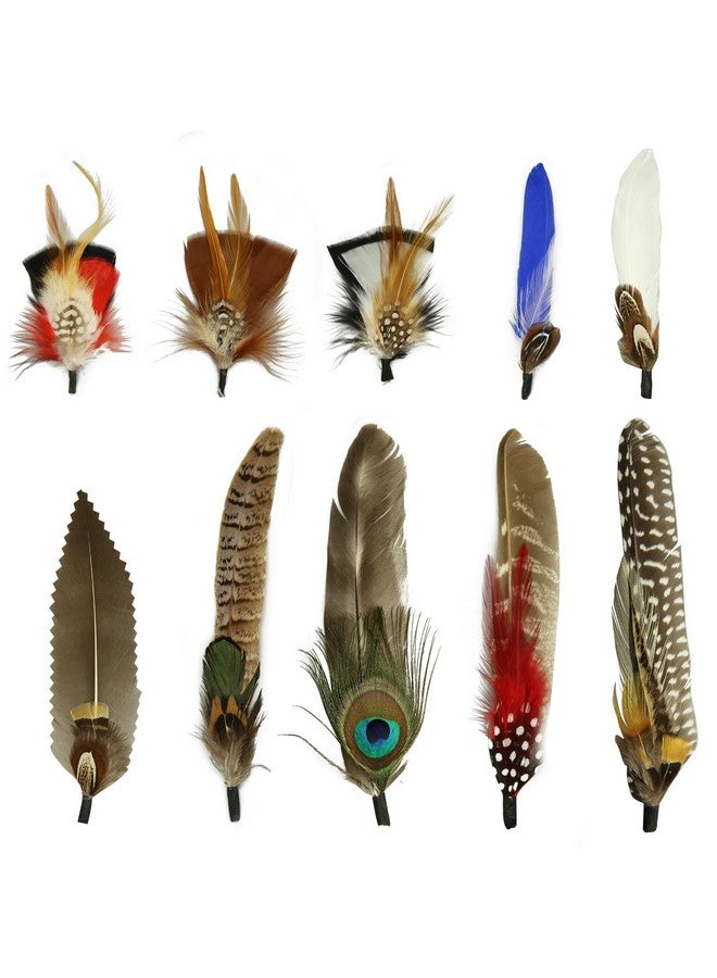 CANIPHA 10Pcs Hat Feathers Natural Feathers Peacock Feathers For Hats Colorful Feathers Pin Cowboy Hat Feather For Western Cowboy Hats Christmas Party Hats Feathers Accessories Diy Decorations (10 Style) - Image 1