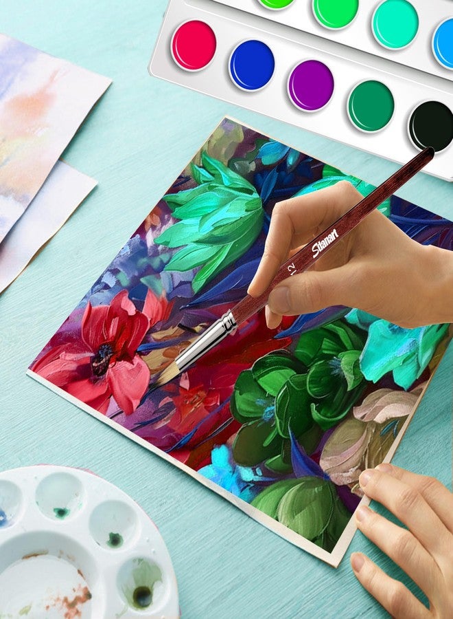 Sdanart 12 pcs Acrylic Paint Brushes Set,6 Professional Round Pointed Tip Paintbrushes and 6 Filbert Artist Paintbrush for Watercolor,Acrylics,Oil,Gouache,Ink，Perfect for Artists and Beginners - Image 3