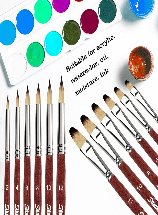 Sdanart 12 pcs Acrylic Paint Brushes Set,6 Professional Round Pointed Tip Paintbrushes and 6 Filbert Artist Paintbrush for Watercolor,Acrylics,Oil,Gouache,Ink，Perfect for Artists and Beginners - Image 2