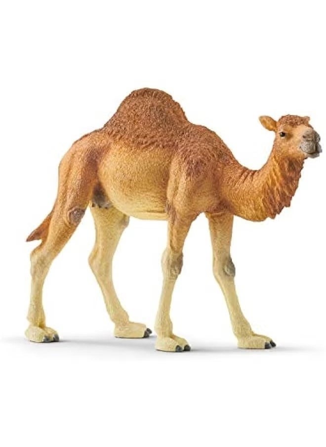 Realfrog Realistic Dromedary Camel Figurine - Authentic & Highly Detailed Wild Animal Toy for Education & Fun Play - Perfect for Boys & Girls Ages 3+ - Multicolor - 14cm  - Image 1