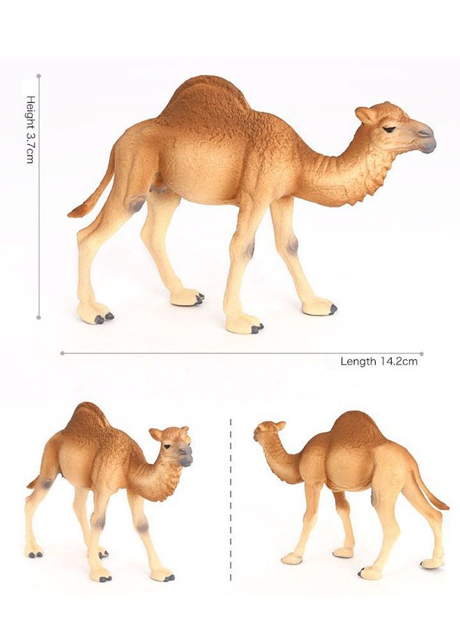 Realfrog Realistic Dromedary Camel Figurine - Authentic & Highly Detailed Wild Animal Toy for Education & Fun Play - Perfect for Boys & Girls Ages 3+ - Multicolor - 14cm  - Image 5