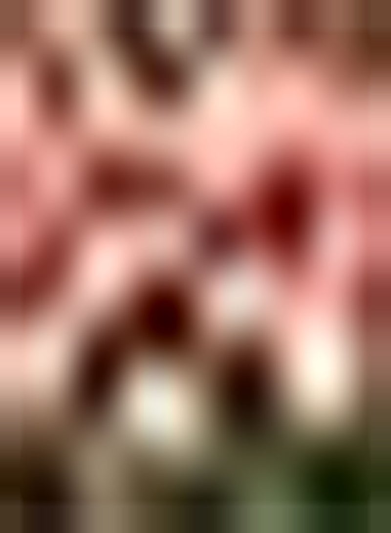 GGOOT 10pcs Oranje Tulpenbollen Ingemaakte Heirloom Bloembollen Gemakkelijk te overleven Charmante geur Voeg kleur Vitaliteit Schoonheid Toe aan uw huistuin - Image 1