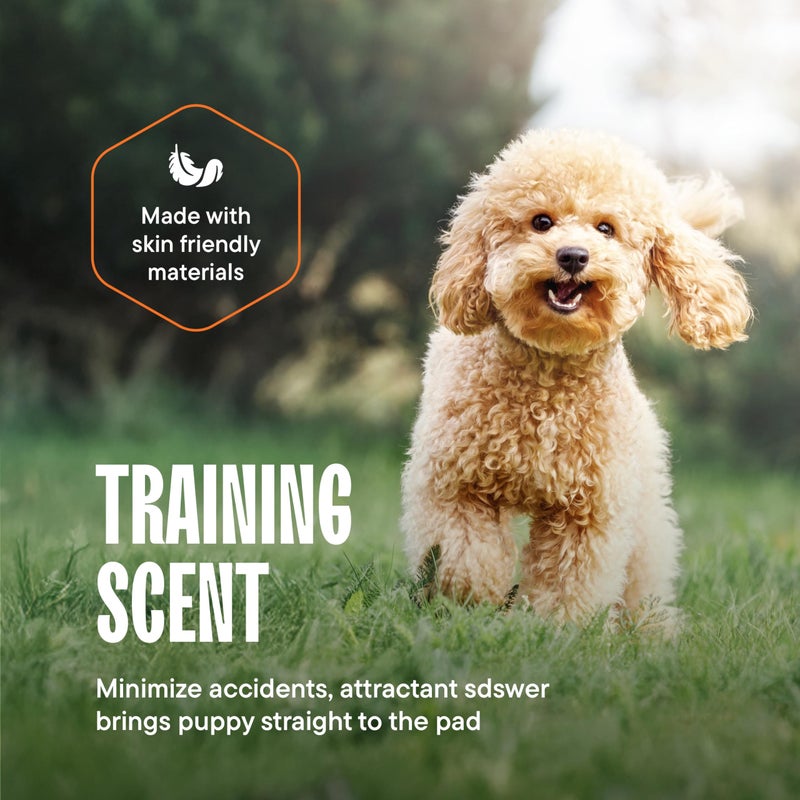 Stack Man Puppy Pads Pet Pee Pads for Dogs & Puppy Training - 100 Count - Potty Pads for Dogs 22" x 22" Leak-Proof Dog Pee Pads - Quick-Dry Surface - Heavy Duty Absorbent Disposable Dog Wee Pad Bulk Pack - Image 5