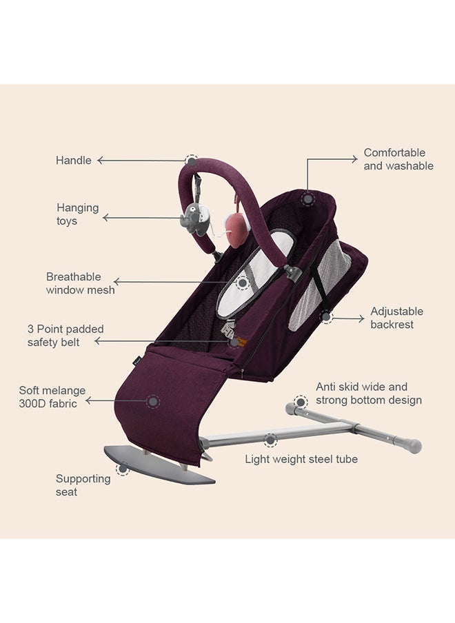 TEKNUM Baby Bouncer with Grab Toys - Purple - pzsku/Z4C6A4A1AF954A609DB27Z/45/_/1720708214/cf915a17-afed-493b-8d2a-d5a9ed4e9aa3