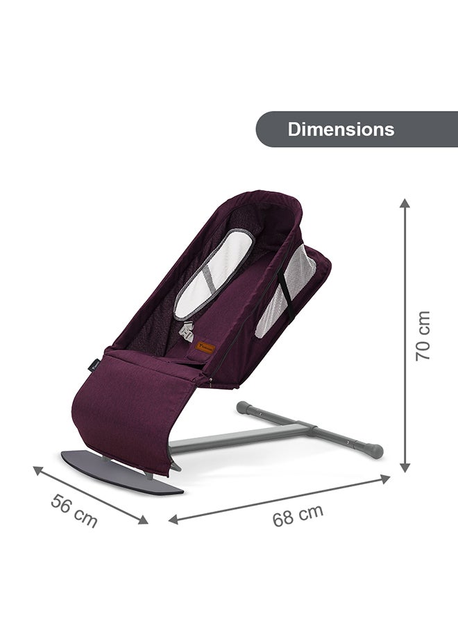 TEKNUM Baby Bouncer with Grab Toys - Purple - pzsku/Z4C6A4A1AF954A609DB27Z/45/_/1720708215/2236a9bb-82d9-44aa-a794-d96a79faf60f
