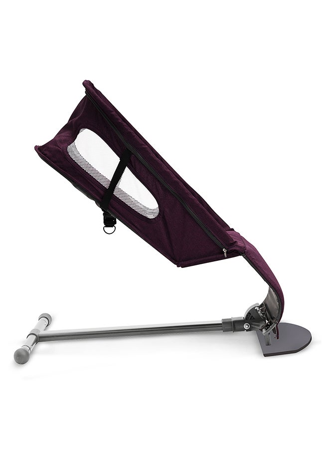 TEKNUM Baby Bouncer with Grab Toys - Purple - pzsku/Z4C6A4A1AF954A609DB27Z/45/_/1720708217/39555981-ee1f-462e-b0b9-4a88f0ba92ad