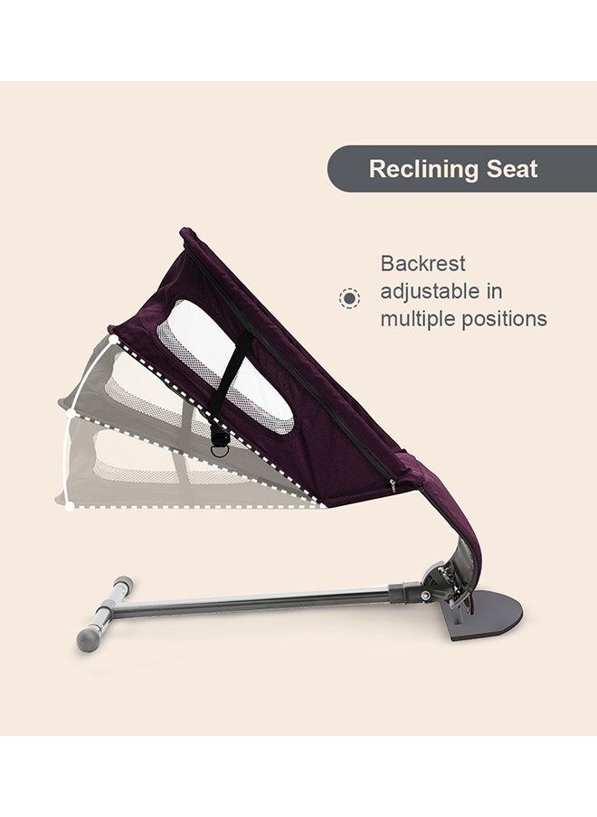 TEKNUM Baby Bouncer with Grab Toys - Purple - pzsku/Z4C6A4A1AF954A609DB27Z/45/_/1720708219/23eb49c0-a0d8-4f24-8542-90ded3411f8e