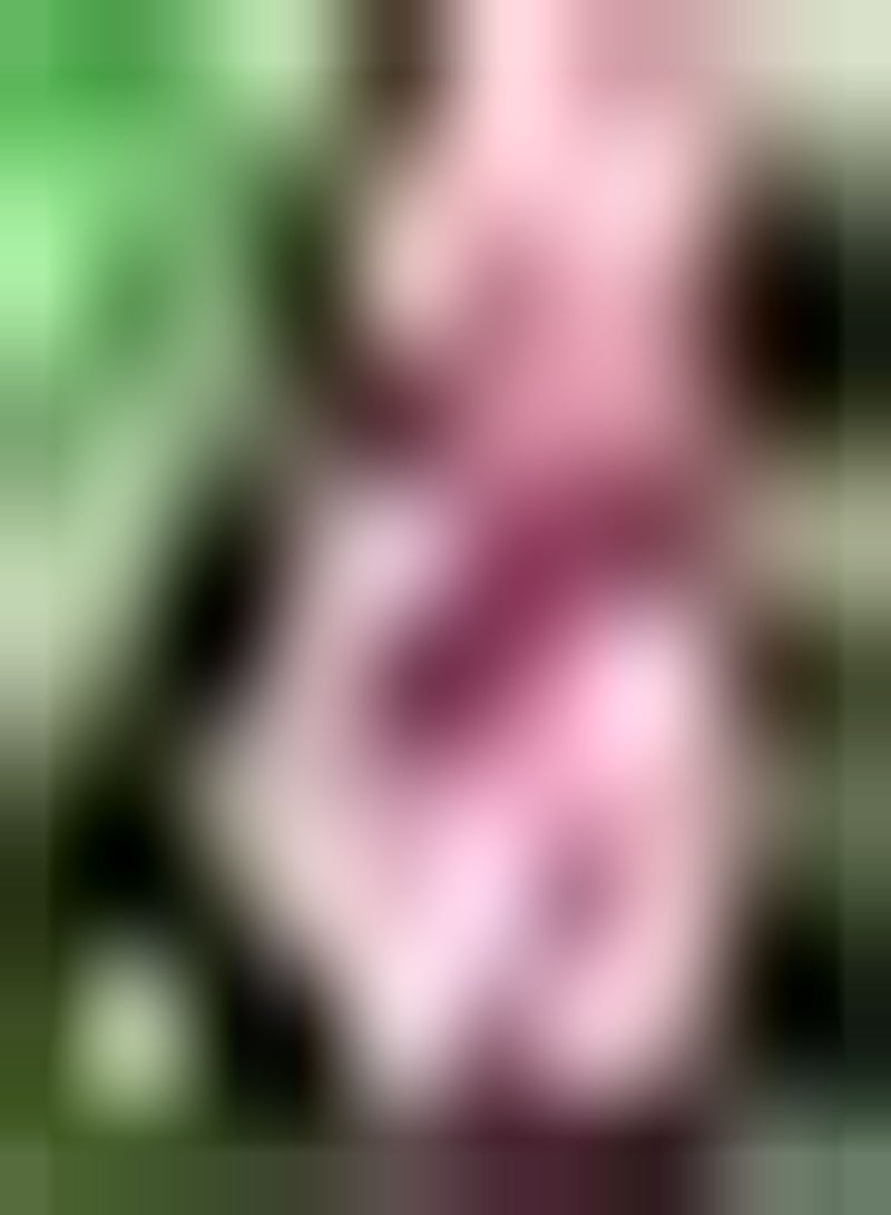 جي جوت 100 قطعة من نباتات الورد الوردية Zaden geplant in buitentuin do het zelf om EEN Perfect Landschap te crëren vers unique en mysterieus voeg color toe aan de tuin - Image 2