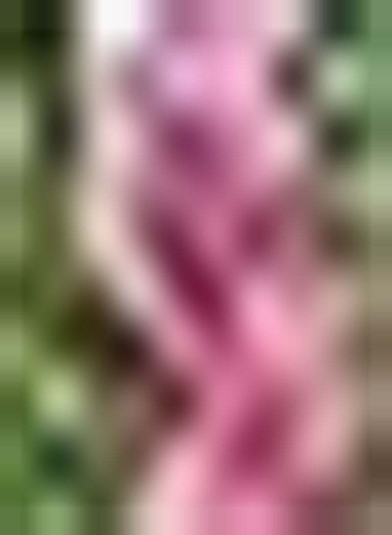 جي جوت 100 قطعة من نباتات الورد الوردية Zaden geplant in buitentuin do het zelf om EEN Perfect Landschap te crëren vers unique en mysterieus voeg color toe aan de tuin - Image 1