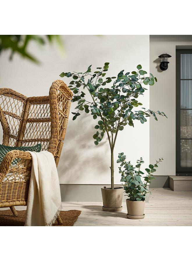 Artificial Potted Plant, In/Outdoor Eucalyptus, 19 Cm - Image 5